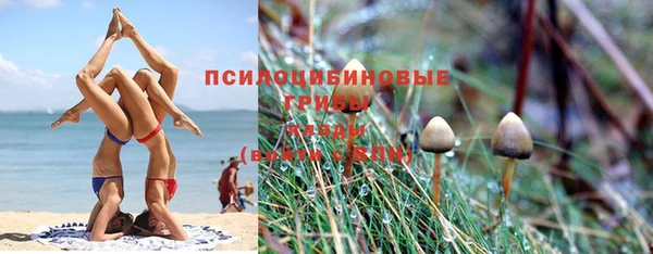 марки nbome Гусь-Хрустальный
